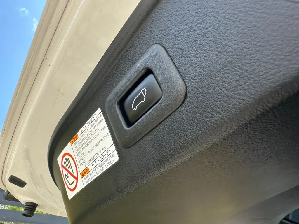 Toyota Alphard (Type Gold) view 6