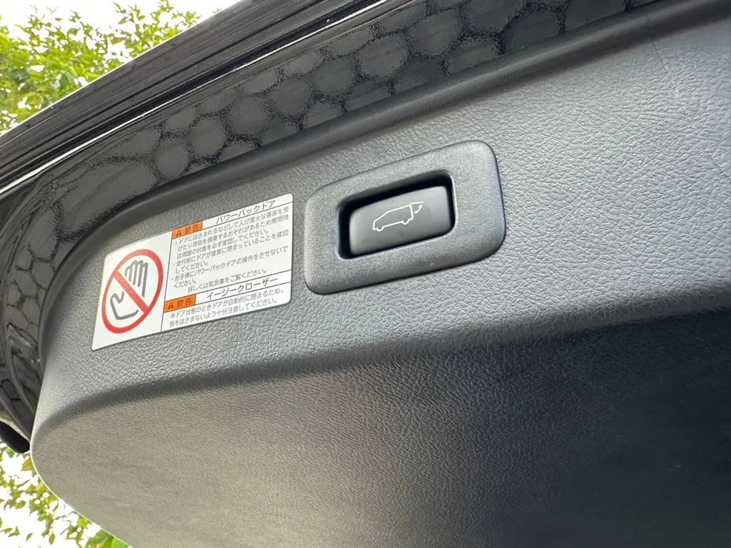 Toyota Alphard (Pilot Seat) view 7
