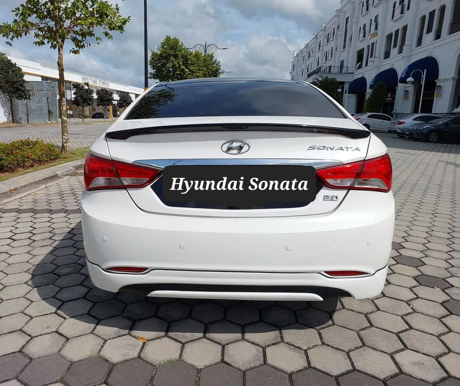 Hyundai Sonata view 6