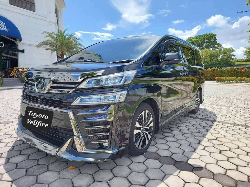 Toyota Vellfire (Pilot Seat) view 7